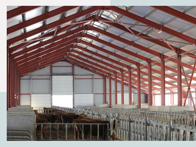 Строительство коровников в Орле